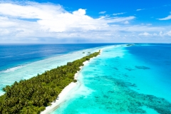 Aerial shot of a narrow island covered by tropical trees  in the middle of the sea in Maldives